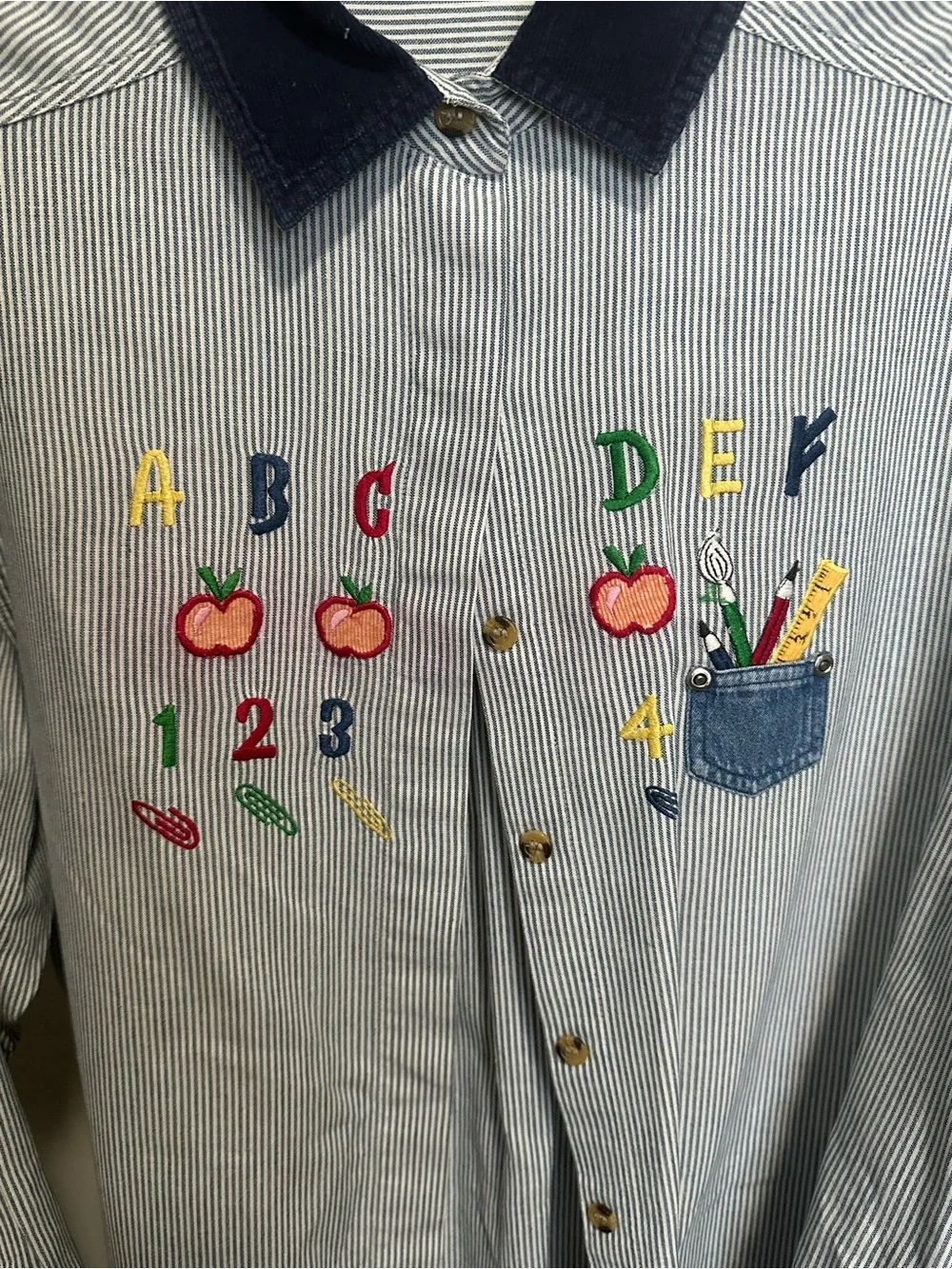 Vintage Blue and White Striped Button Down with Teacher School Themed Embroidery - Picture 2 of 9